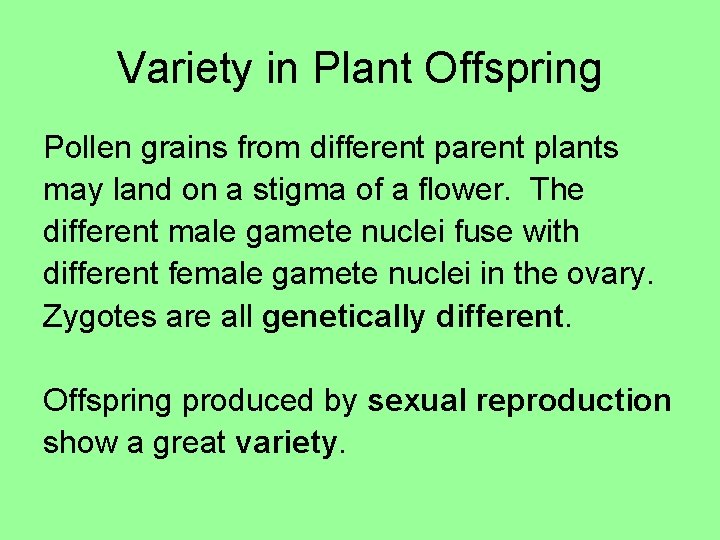 Variety in Plant Offspring Pollen grains from different parent plants may land on a