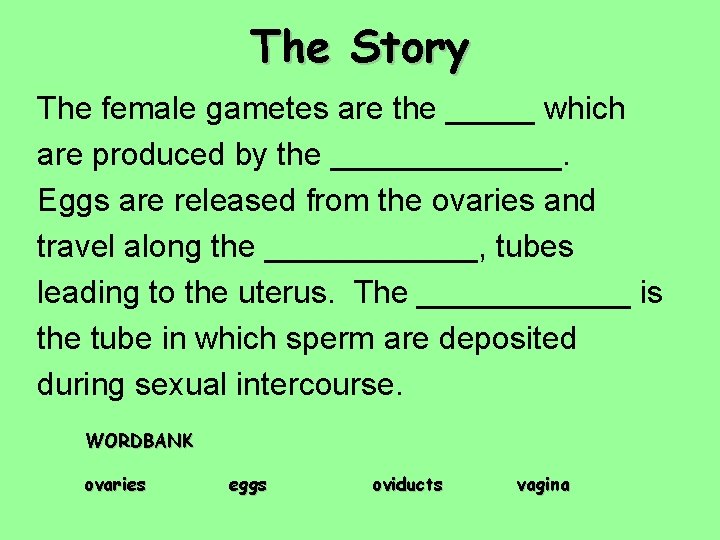 The Story The female gametes are the _____ which are produced by the _______.