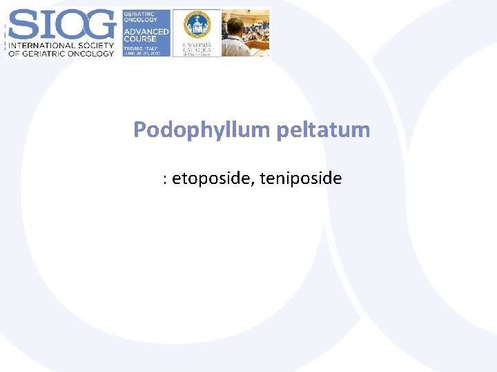 Podophyllum peltatum : etoposide, teniposide 