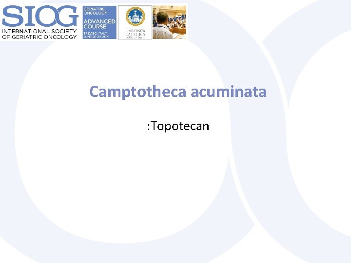 Camptotheca acuminata : Topotecan 