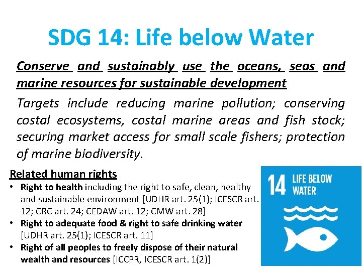 SDG 14: Life below Water Conserve and sustainably use the oceans, seas and marine