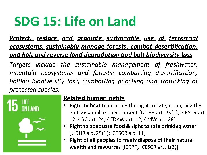 SDG 15: Life on Land Protect, restore and promote sustainable use of terrestrial ecosystems,