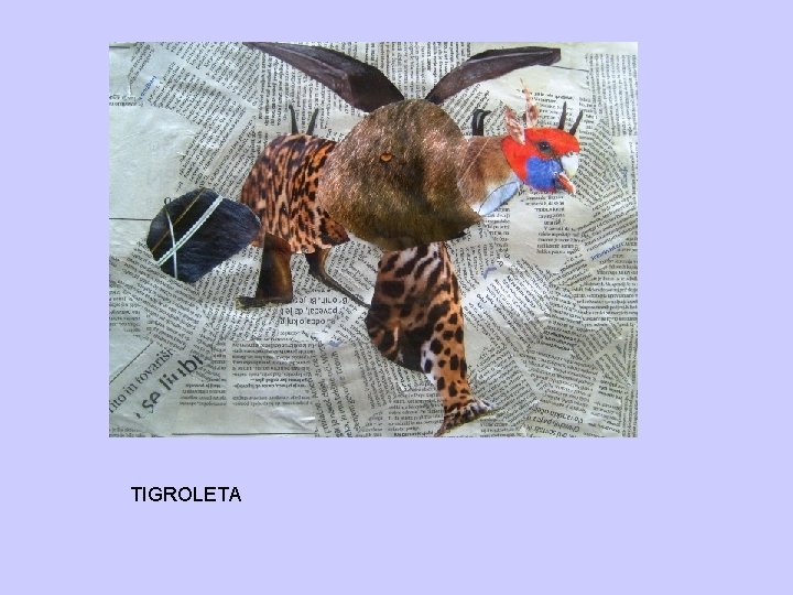 TIGROLETA 