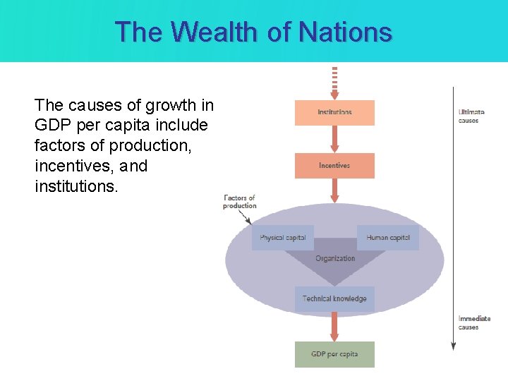 The Wealth of Nations The causes of growth in GDP per capita include factors