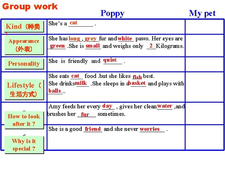 Group work Kind 1(种类 ) Appearance 2 (外表) Personality 3 Poppy cat She’s a