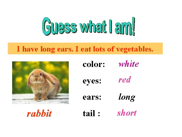 I have long ears. I eat lots of vegetables. rabbit color: white eyes: red