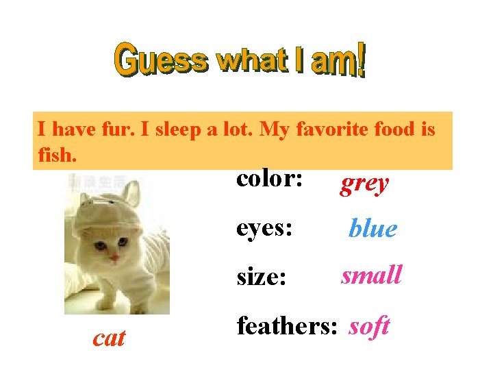 I have fur. I sleep a lot. My favorite food is fish. cat color: