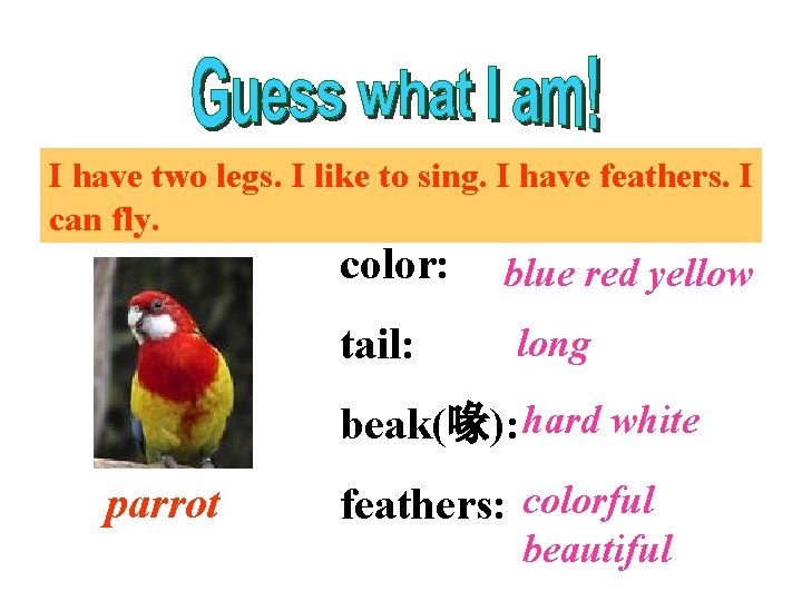 I have two legs. I like to sing. I have feathers. I can fly.