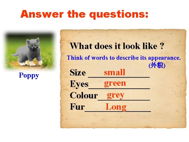 Answer the questions: What does it look like ? Think of words to describe