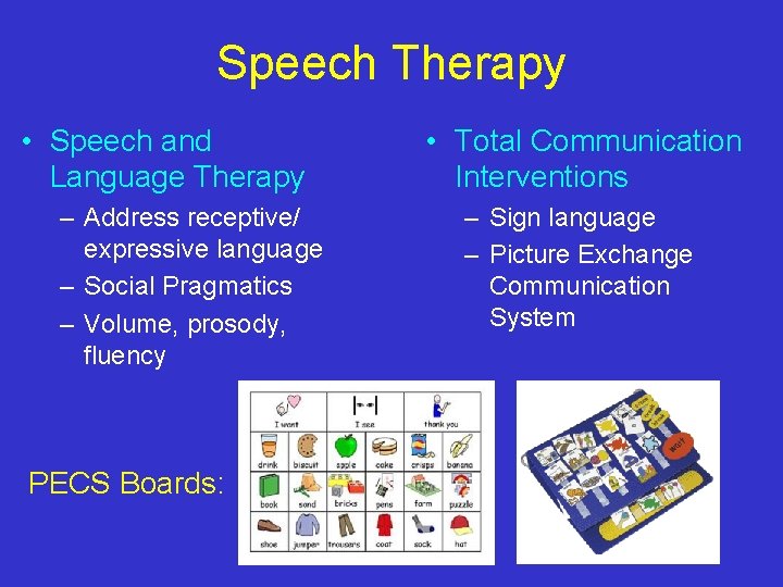 Speech Therapy • Speech and Language Therapy – Address receptive/ expressive language – Social