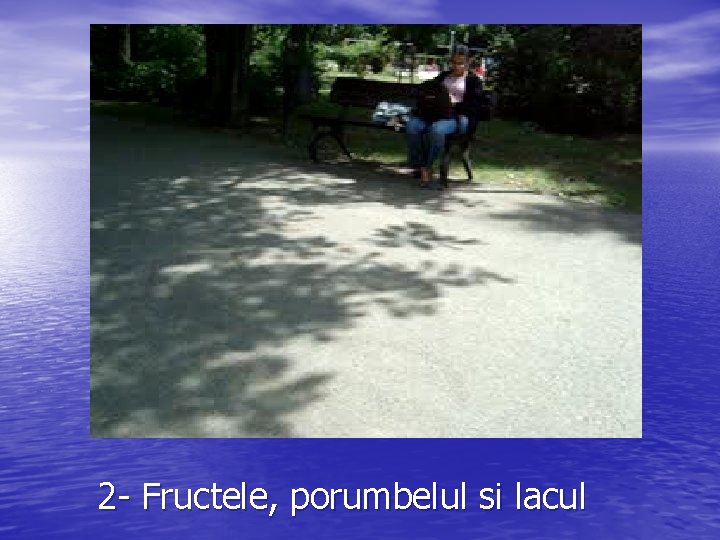 2 - Fructele, porumbelul si lacul 