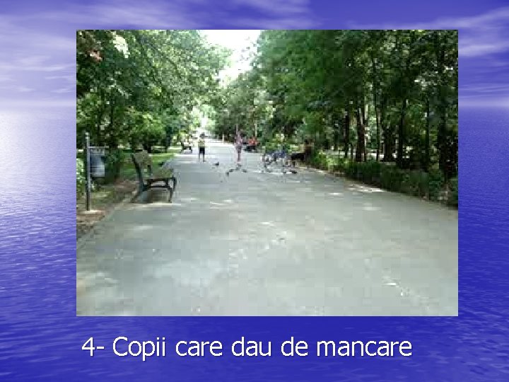 4 - Copii care dau de mancare 