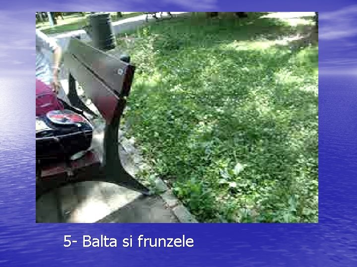 5 - Balta si frunzele 