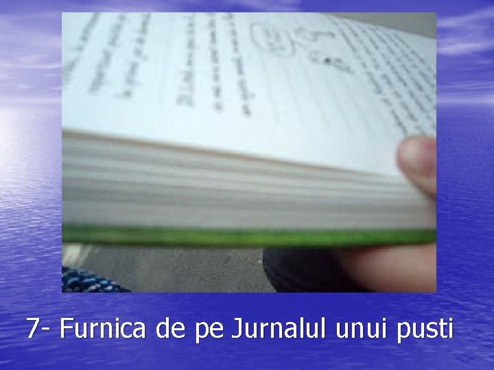 7 - Furnica de pe Jurnalul unui pusti 