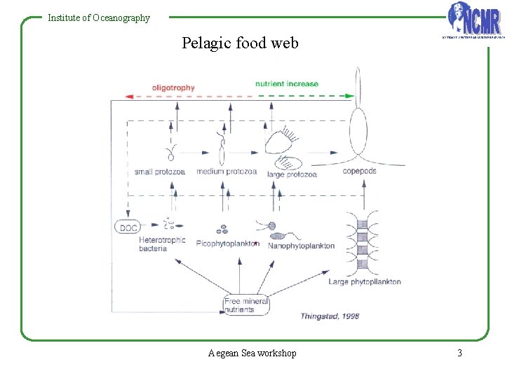 Institute of Oceanography Pelagic food web Aegean Sea workshop NATIONAL CENTRE FOR MARINE RESEARCH Institute of Oceanography Pelagic food web Aegean Sea workshop NATIONAL CENTRE FOR MARINE RESEARCH