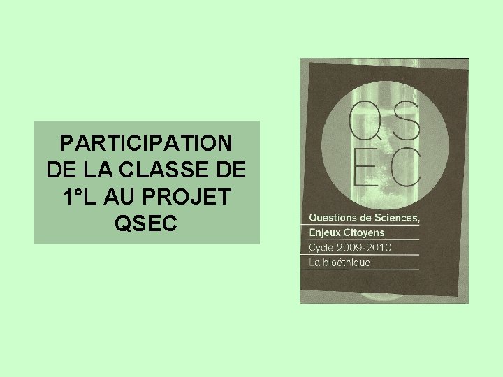 PARTICIPATION DE LA CLASSE DE 1°L AU PROJET QSEC 