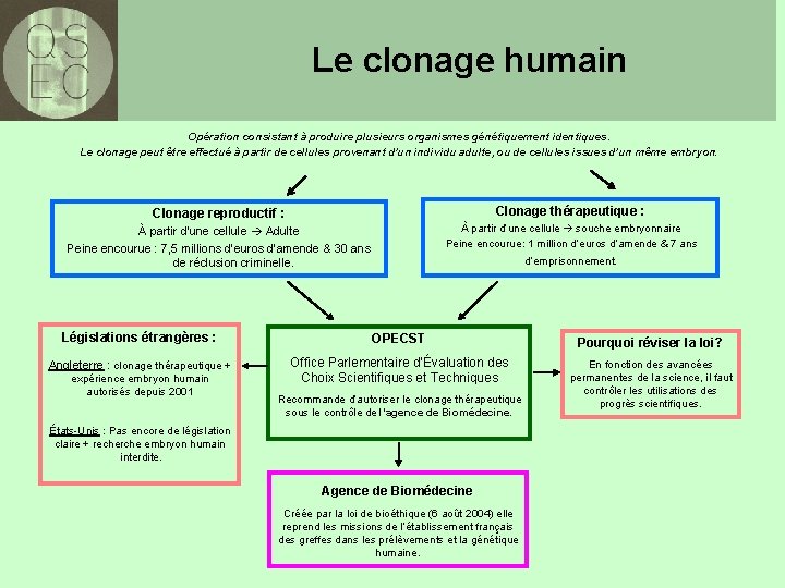 Le clonage humain Opération consistant à produire plusieurs organismes génétiquement identiques. Le clonage peut