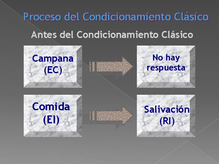 Proceso del Condicionamiento Clásico Antes del Condicionamiento Clásico Campana (EC) No hay respuesta Comida Proceso del Condicionamiento Clásico Antes del Condicionamiento Clásico Campana (EC) No hay respuesta Comida