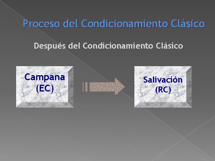 Proceso del Condicionamiento Clásico Después del Condicionamiento Clásico Campana (EC) Salivación (RC) Proceso del Condicionamiento Clásico Después del Condicionamiento Clásico Campana (EC) Salivación (RC)