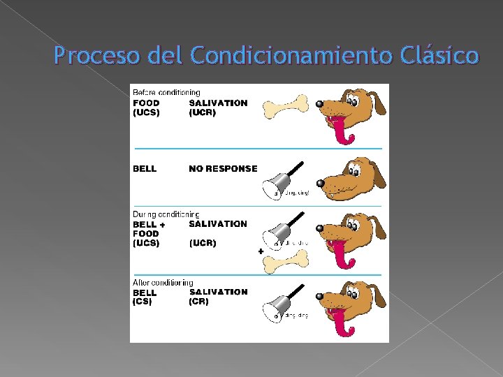Proceso del Condicionamiento Clásico Proceso del Condicionamiento Clásico