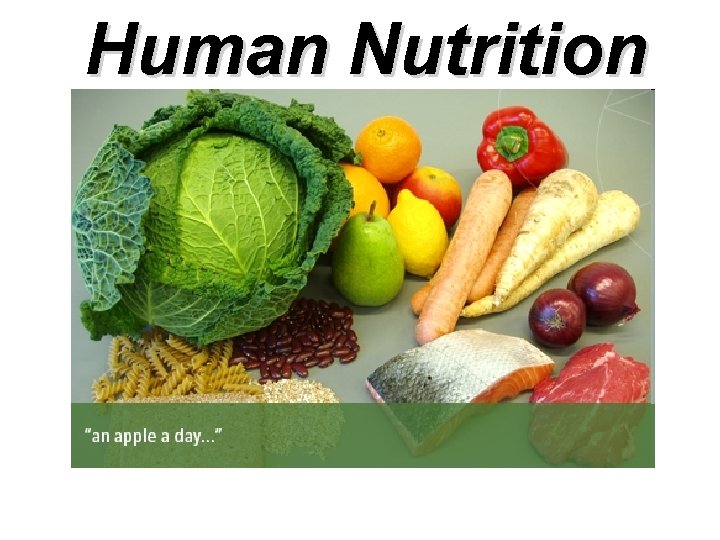 Human Nutrition 