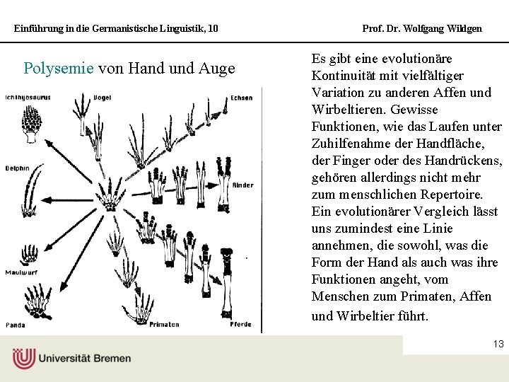 Einführung in die Germanistische Linguistik, 10 Polysemie von Hand und Auge Prof. Dr. Wolfgang