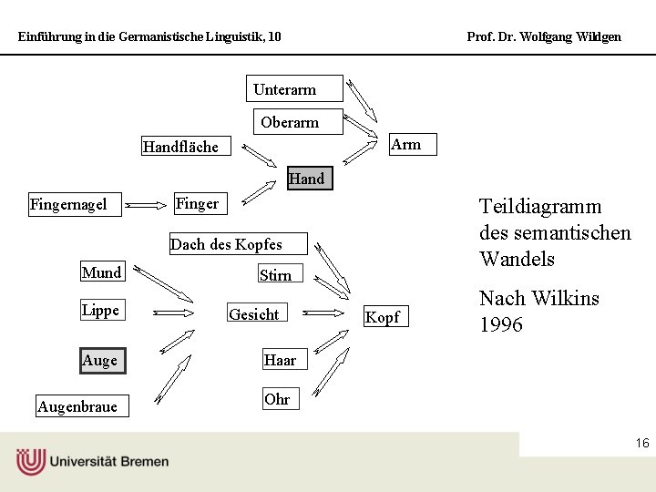 Einführung in die Germanistische Linguistik, 10 Prof. Dr. Wolfgang Wildgen Unterarm Oberarm Arm Handfläche