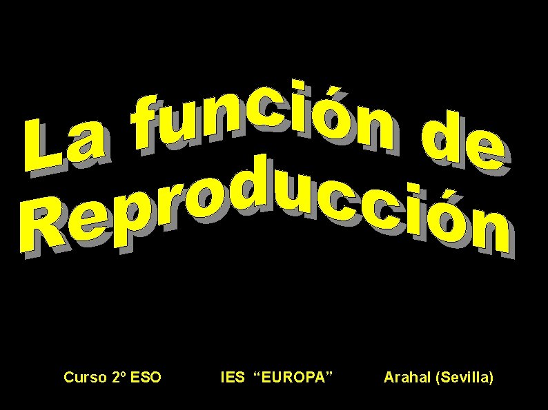Curso 2º ESO IES “EUROPA” Arahal (Sevilla) 