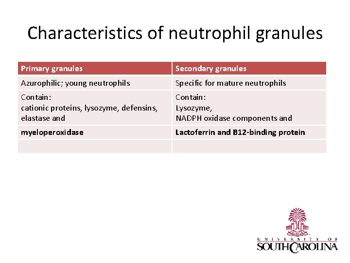 Characteristics of neutrophil granules Primary granules Secondary granules Azurophilic; young neutrophils Specific for mature