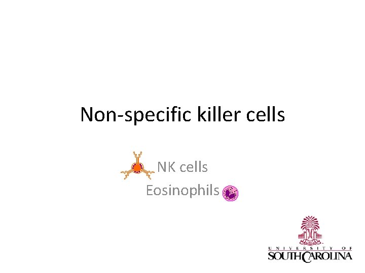 Non-specific killer cells NK cells Eosinophils 