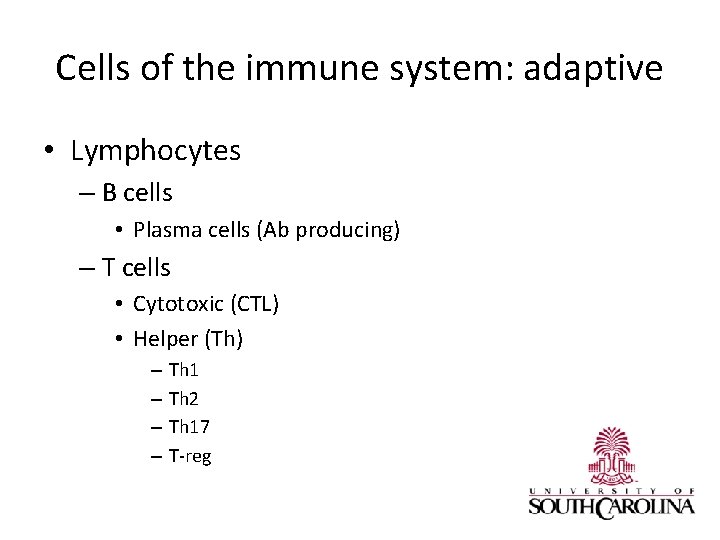 Cells of the immune system: adaptive • Lymphocytes – B cells • Plasma cells