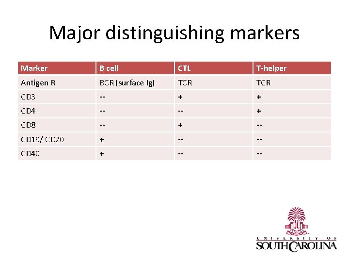 Major distinguishing markers Marker B cell CTL T-helper Antigen R BCR (surface Ig) TCR