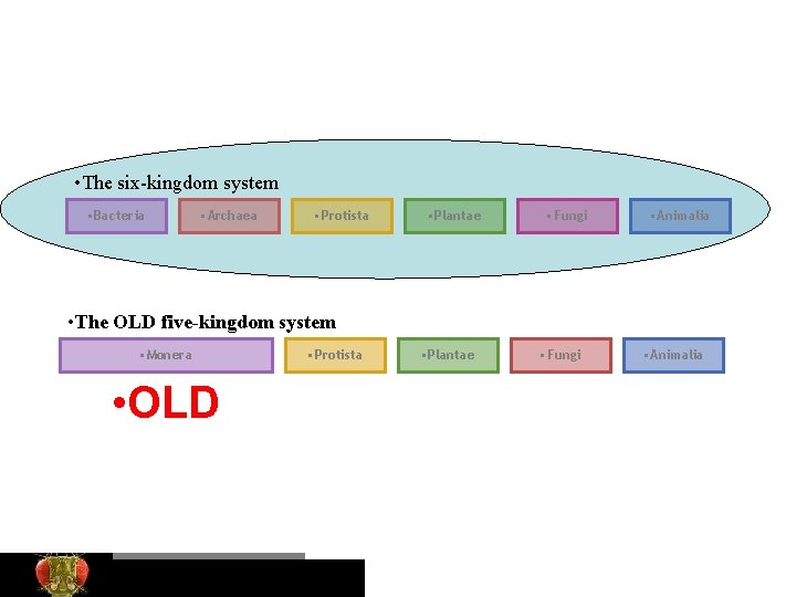  • The six-kingdom system • Bacteria • Archaea • Protista • Plantae •