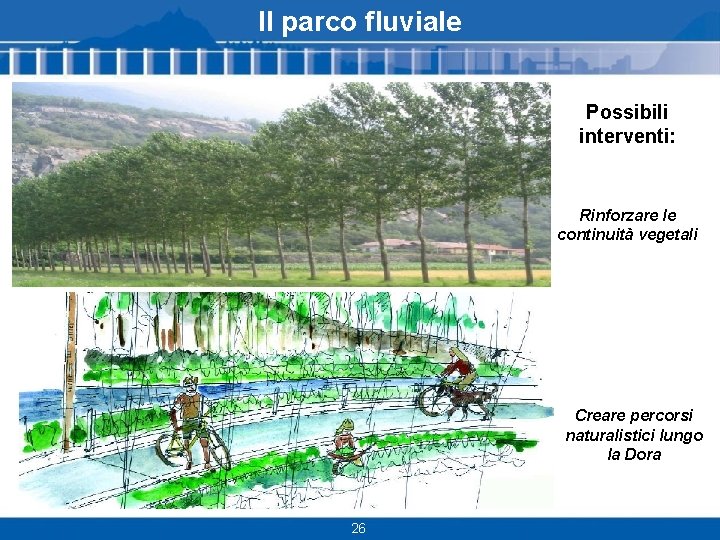 Il parco fluviale Possibili interventi: Rinforzare le continuità vegetali Creare percorsi naturalistici lungo la