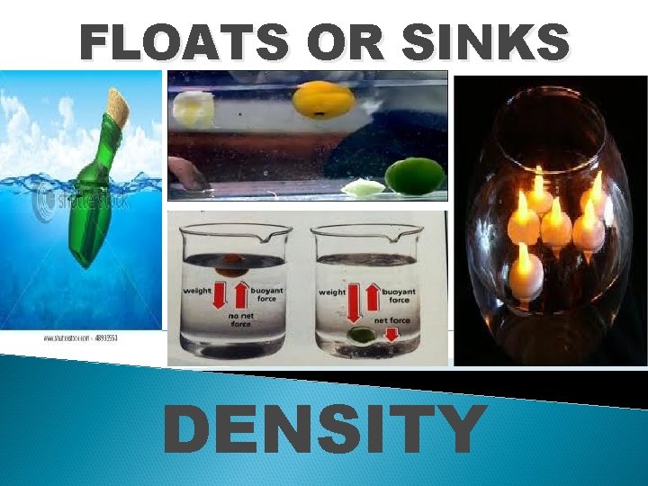 FLOATS OR SINKS DENSITY 