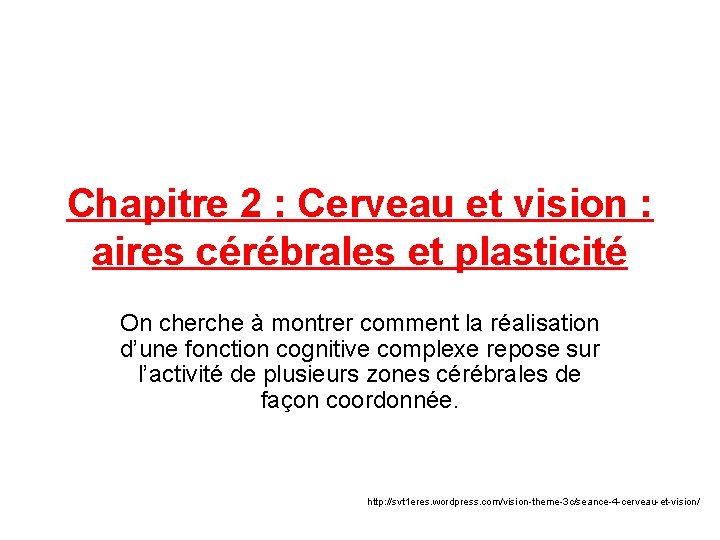 Chapitre 2 : Cerveau et vision : aires cérébrales et plasticité On cherche à