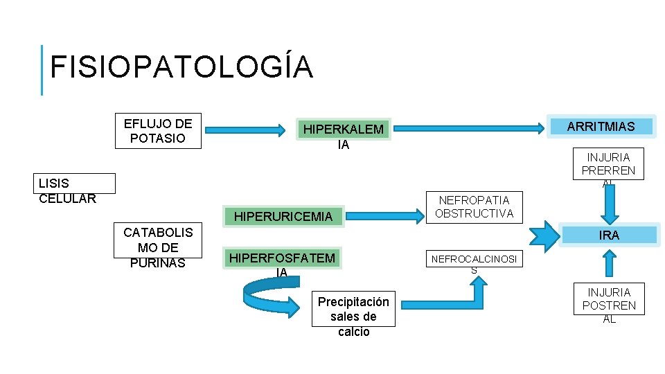 FISIOPATOLOGÍA EFLUJO DE POTASIO LISIS CELULAR HIPERURICEMIA CATABOLIS MO DE PURINAS ARRITMIAS HIPERKALEM IA FISIOPATOLOGÍA EFLUJO DE POTASIO LISIS CELULAR HIPERURICEMIA CATABOLIS MO DE PURINAS ARRITMIAS HIPERKALEM IA