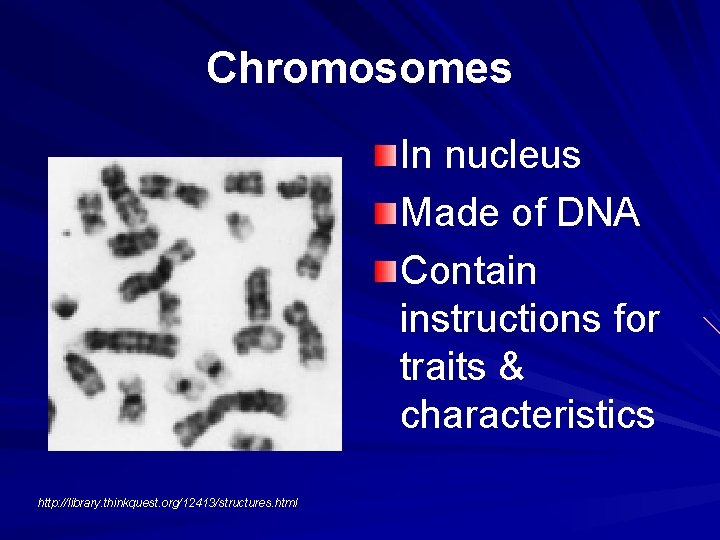 Chromosomes In nucleus Made of DNA Contain instructions for traits & characteristics http: //library.