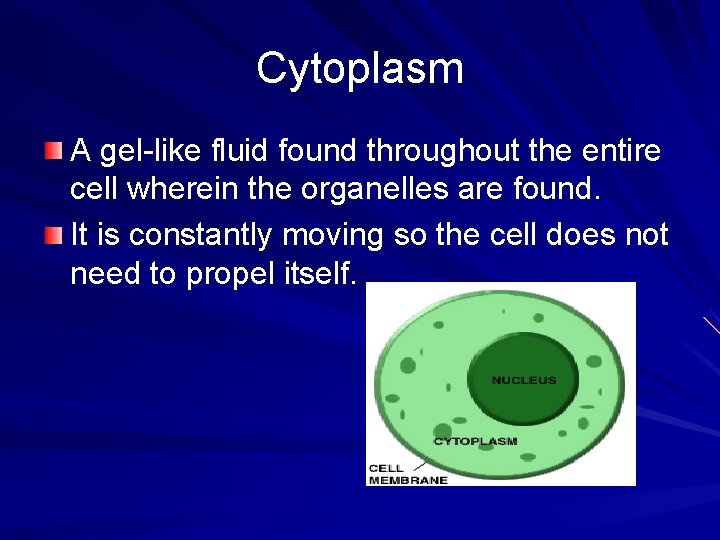 Cytoplasm A gel-like fluid found throughout the entire cell wherein the organelles are found.