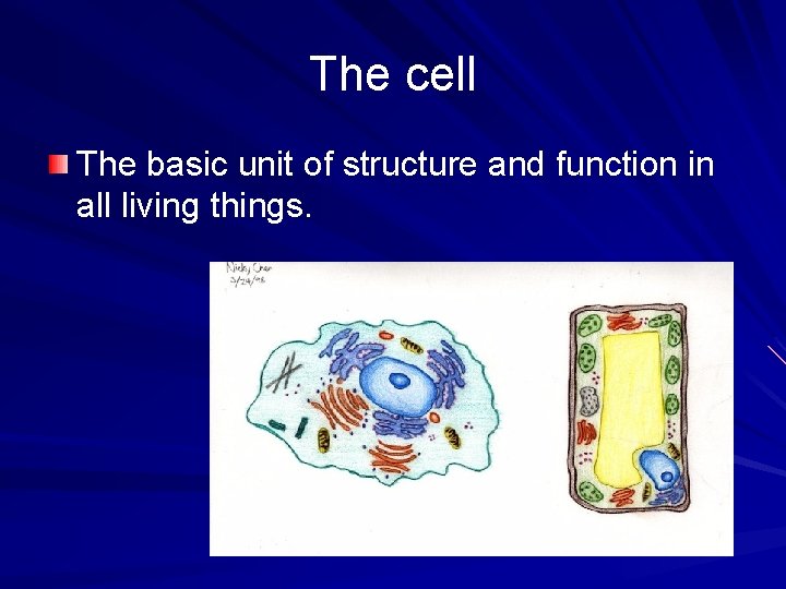 The cell The basic unit of structure and function in all living things. 