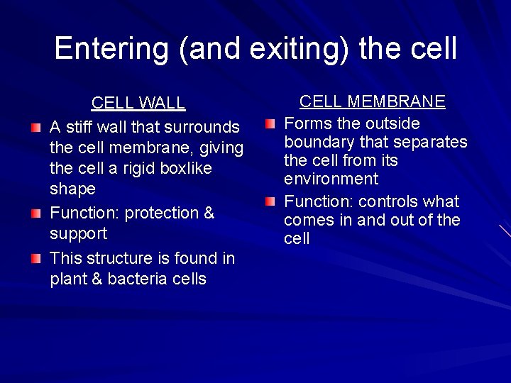 Entering (and exiting) the cell CELL WALL A stiff wall that surrounds the cell