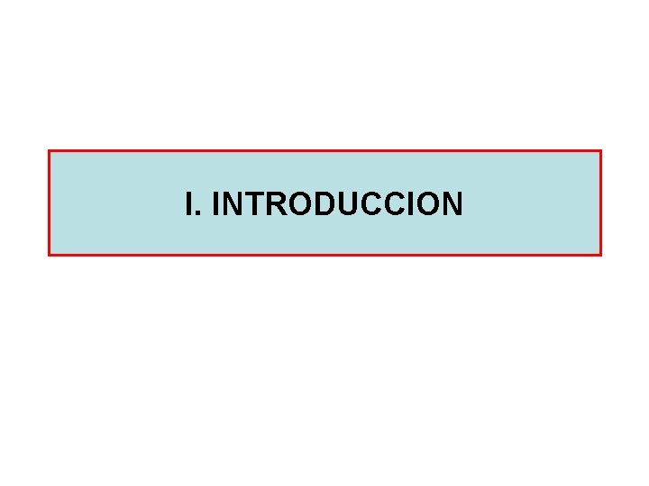 I. INTRODUCCION 