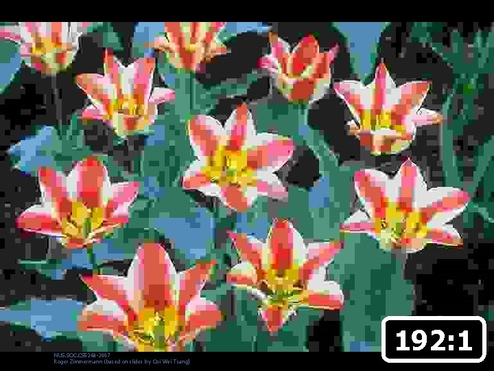 Original Image (1153 KB) NUS. SOC. CS 5248 -2007 Roger Zimmermann (based on slides