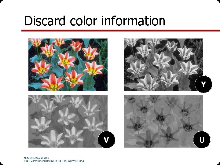 Discard color information Y V NUS. SOC. CS 5248 -2007 Roger Zimmermann (based on