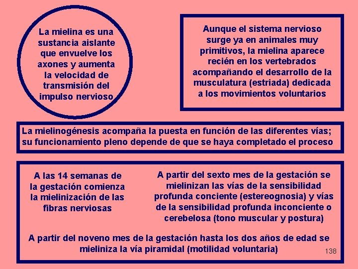 La mielina es una sustancia aislante que envuelve los axones y aumenta la velocidad