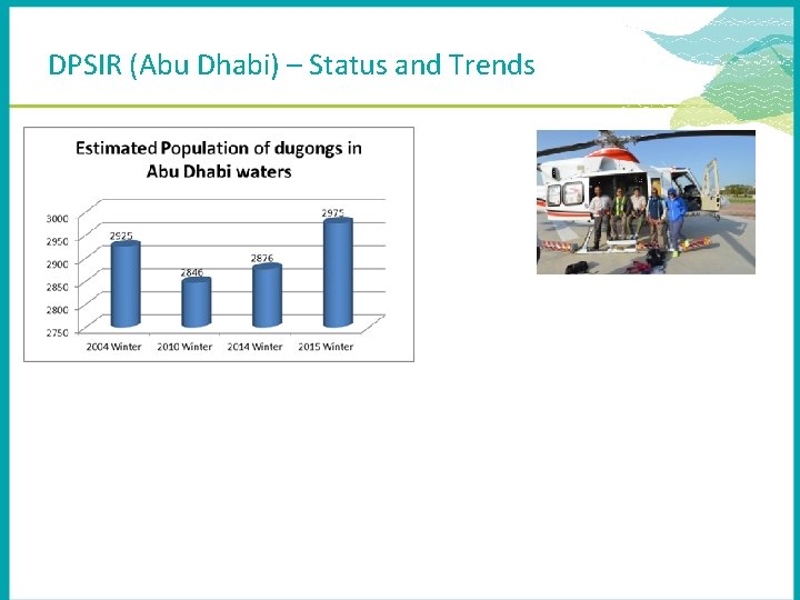 DPSIR (Abu Dhabi) – Status and Trends 