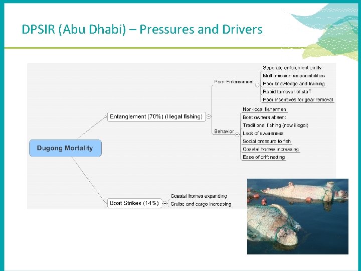 DPSIR (Abu Dhabi) – Pressures and Drivers 