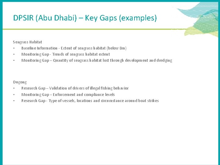 DPSIR (Abu Dhabi) – Key Gaps (examples) Seagrass Habitat • Baseline Information - Extent