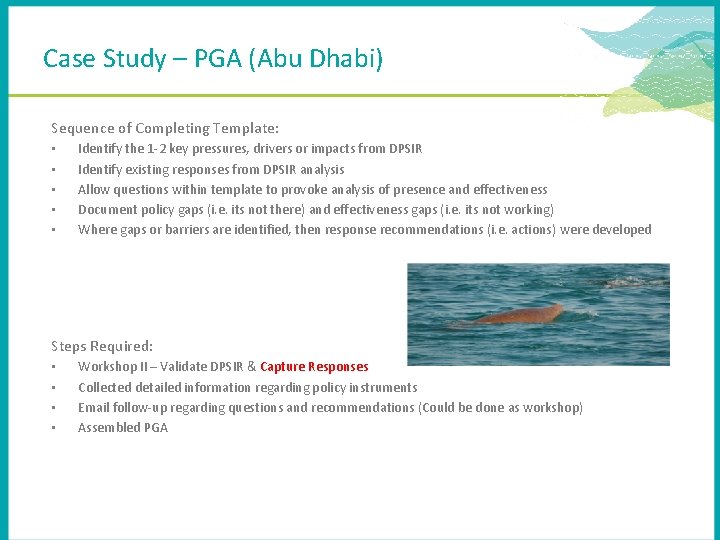 Case Study – PGA (Abu Dhabi) Sequence of Completing Template: • • • Identify