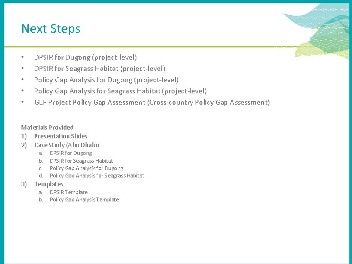 Next Steps • • • DPSIR for Dugong (project-level) DPSIR for Seagrass Habitat (project-level)